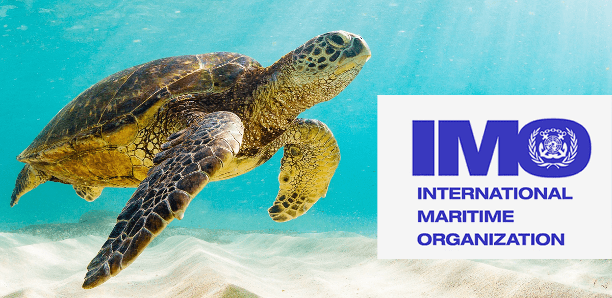 International Maritime Organization