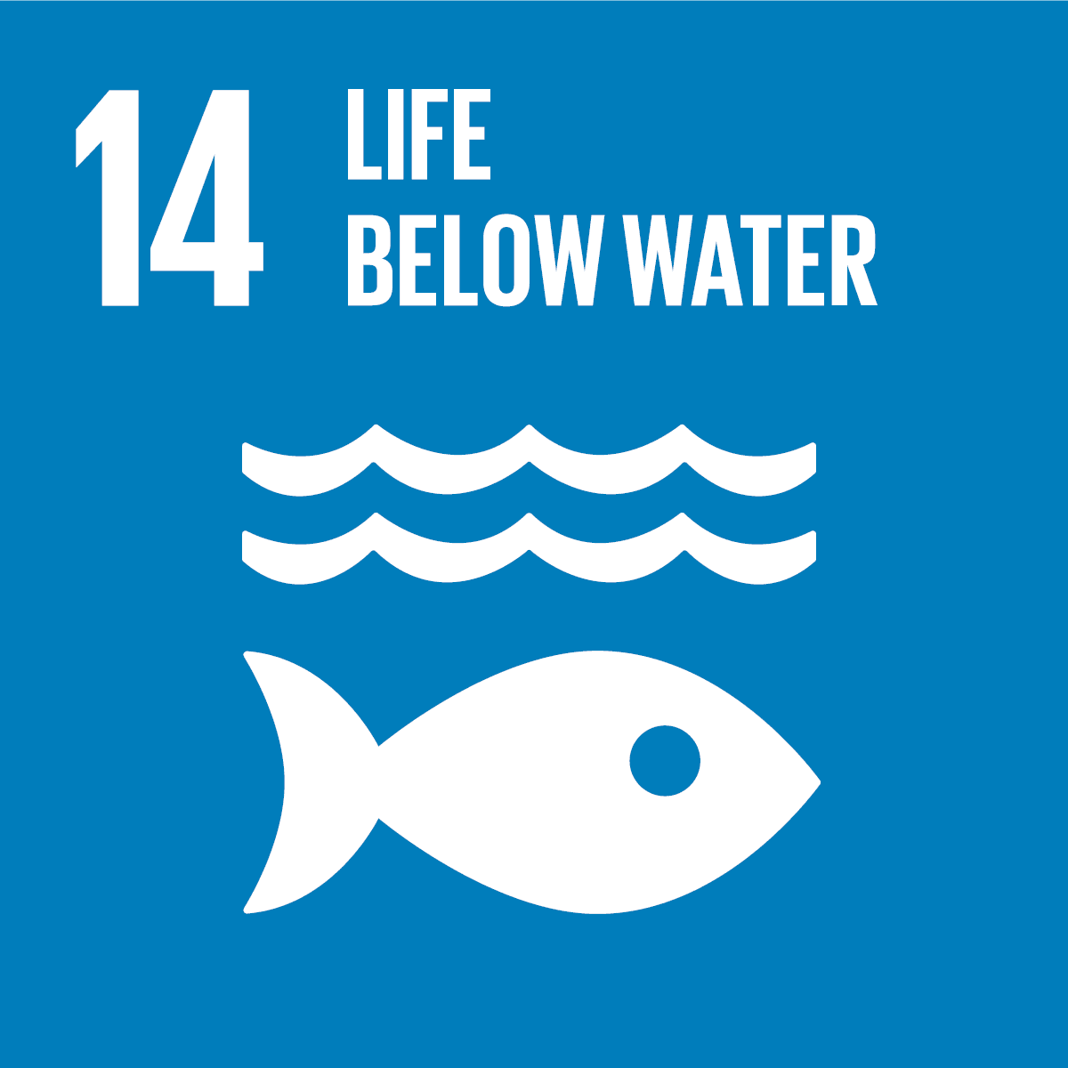 SDG icon