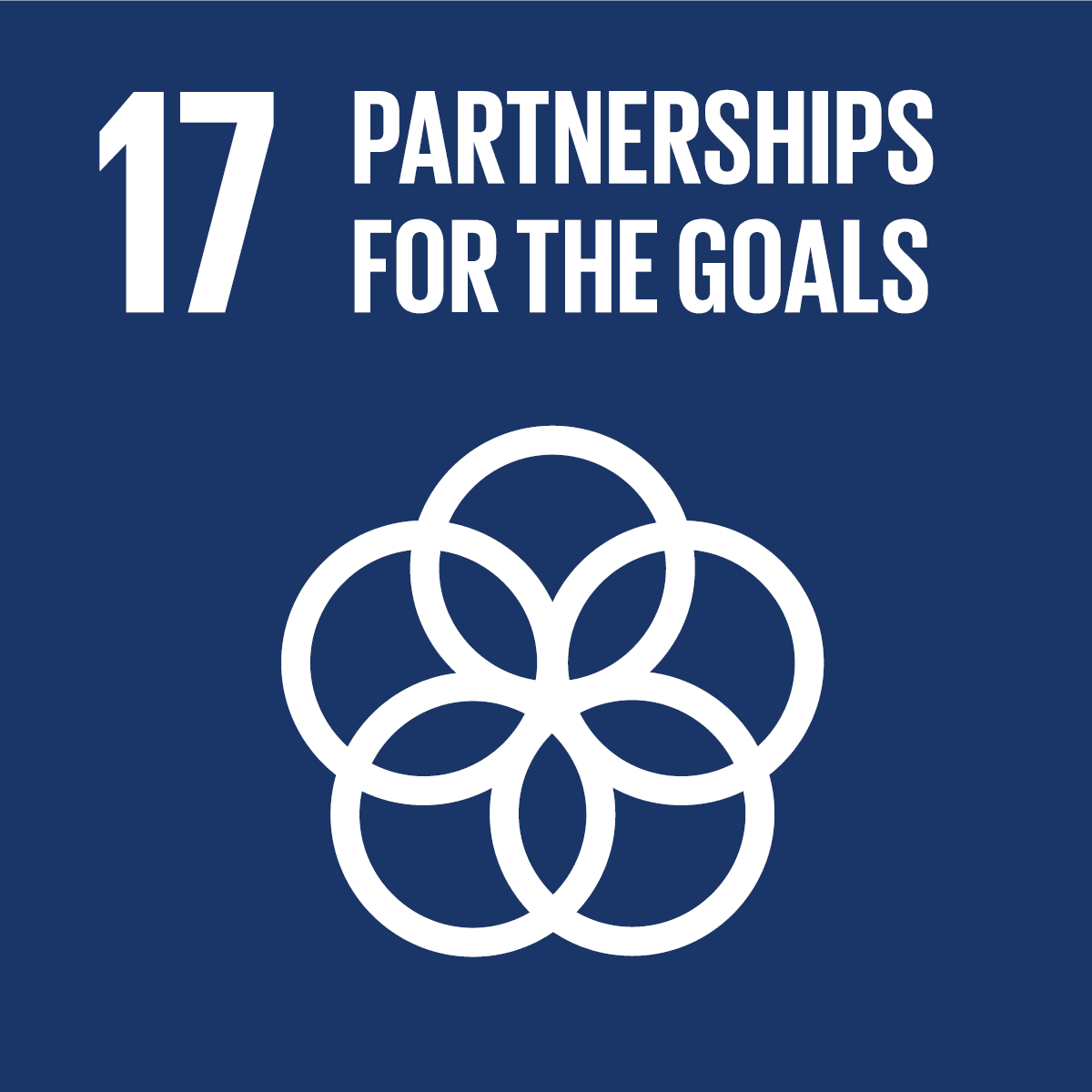 SDG icon