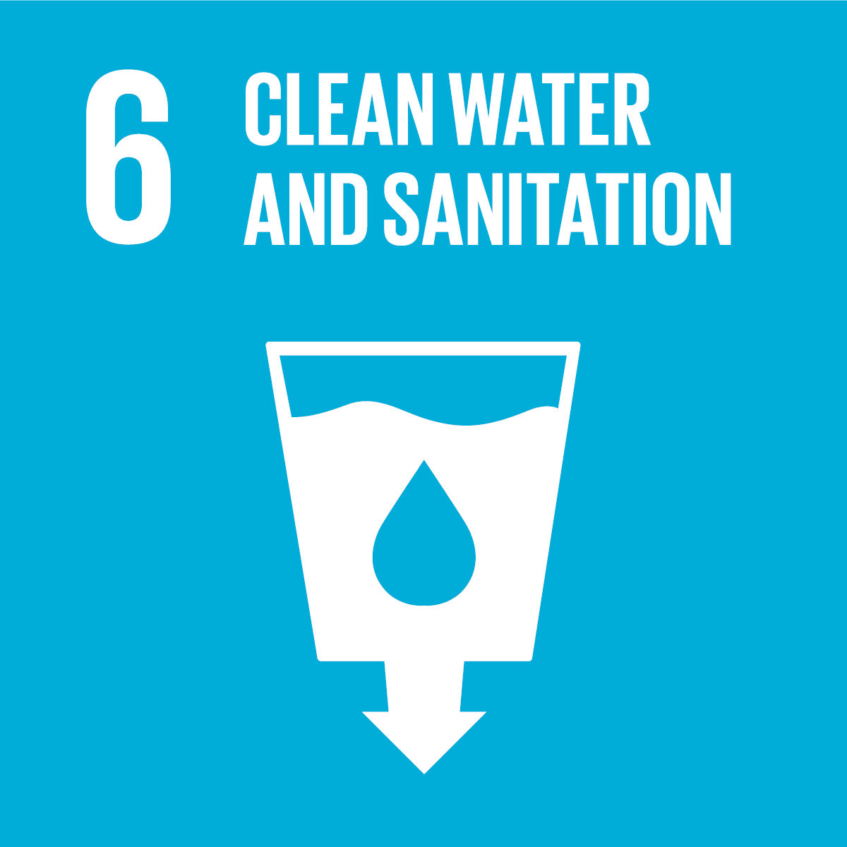 SDG icon