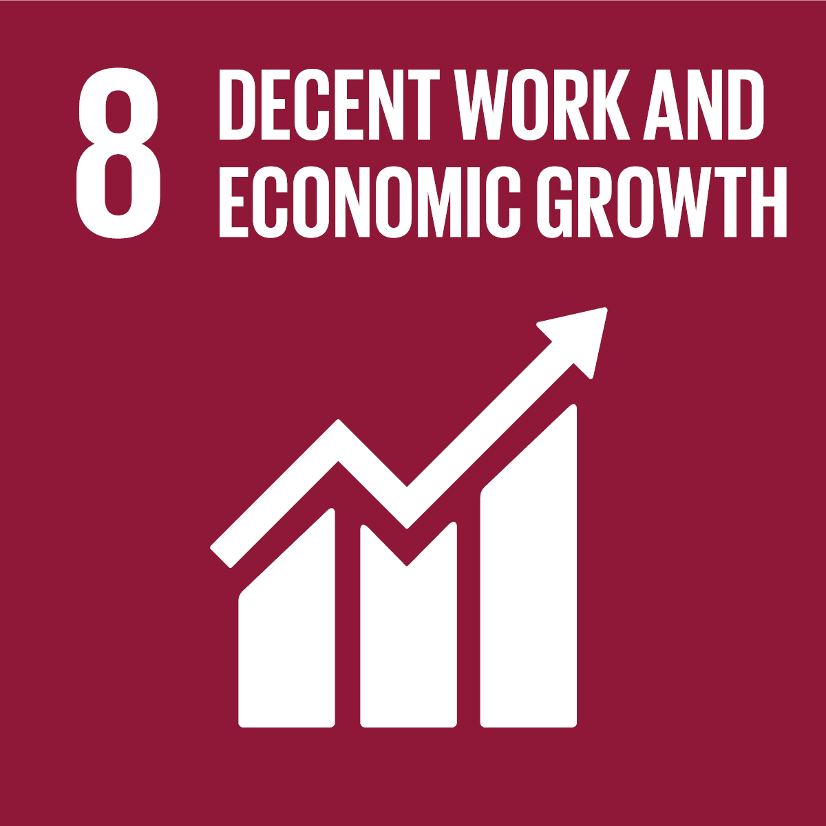 SDG icon