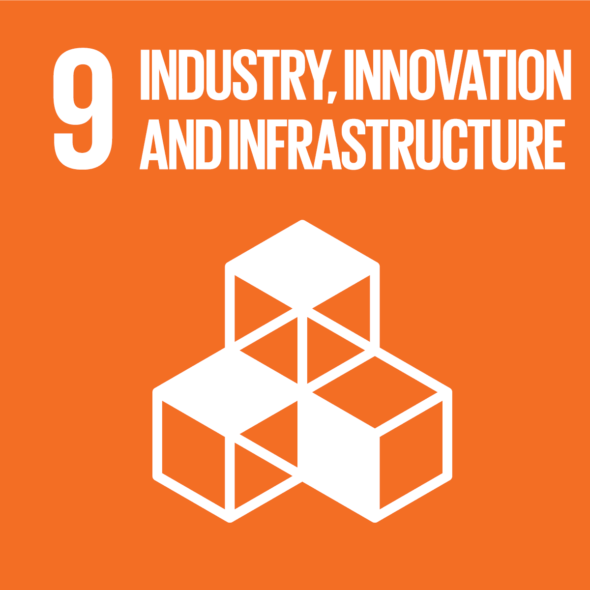 SDG icon